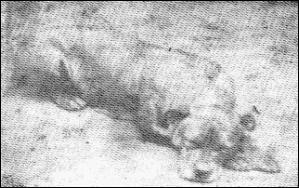 History's famous Dog Sallie10