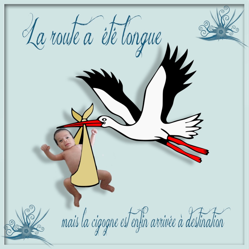 faire-part de naissance Tiago Sans_163