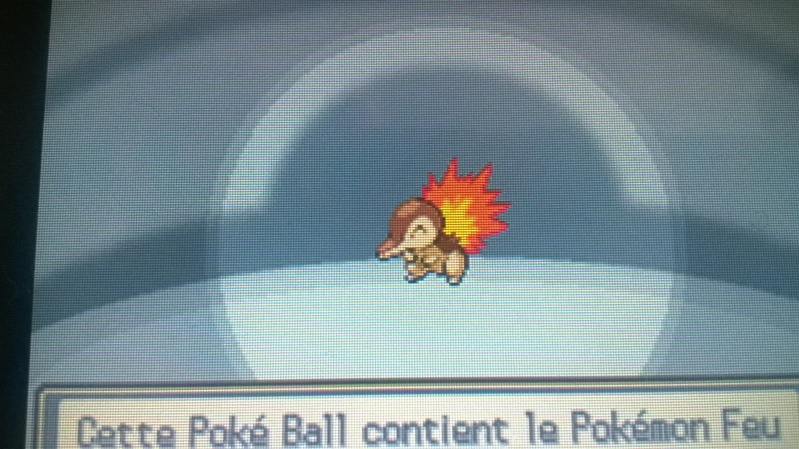 Les shiny de Taria Hyrice10