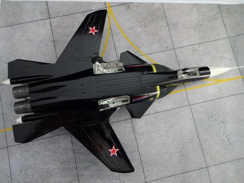 Su-47 Berkut   Dsc09417