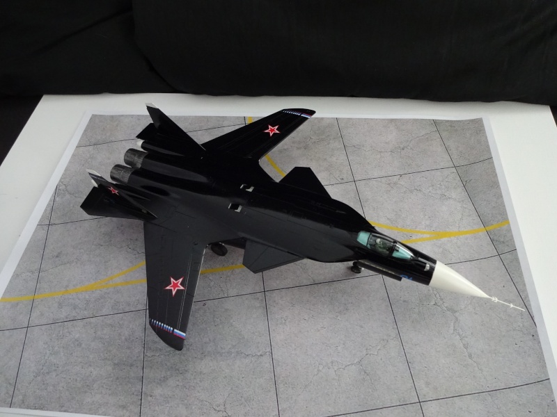 Su-47 Berkut   Dsc09427