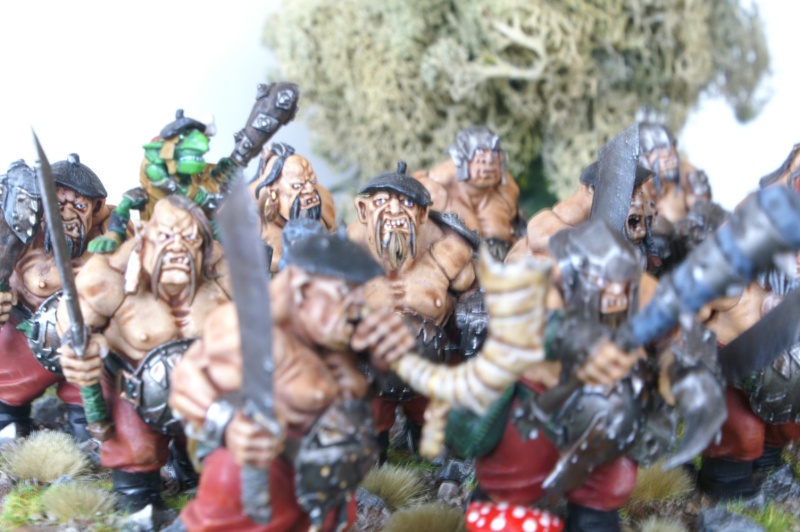 Battle: les Ogres Basques "Les Biscaiens" Test_o11