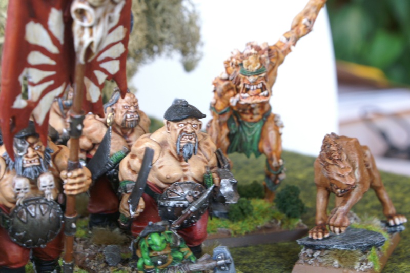 Battle: les Ogres Basques "Les Biscaiens" Test_o12