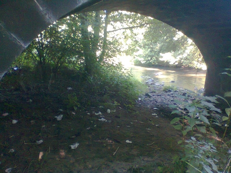 pollution Photo260