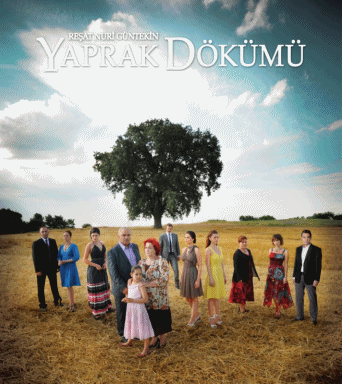 Yaprak Dökümü / სტამბოლის ცა Anigif11