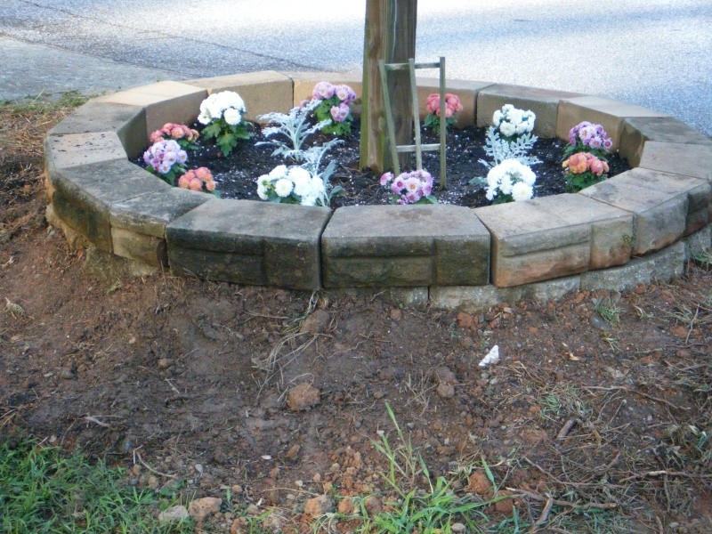 Mid-South: October 2014 Mailbo12