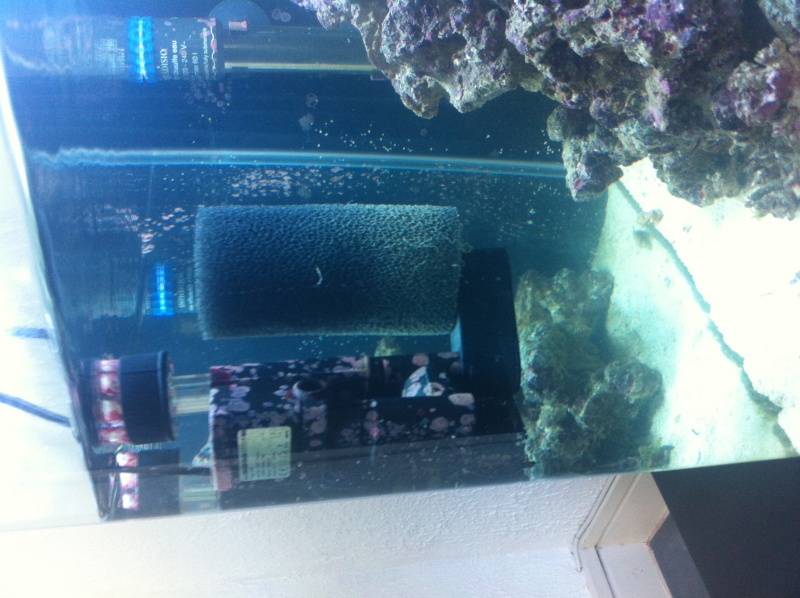 Dennerle Nano 60L Photo_18
