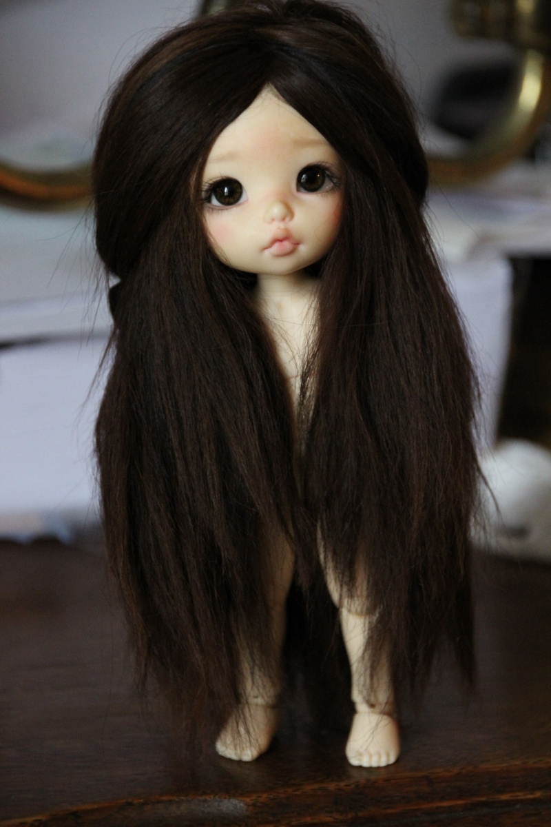 Alpaga : Wigs !! Img_1010