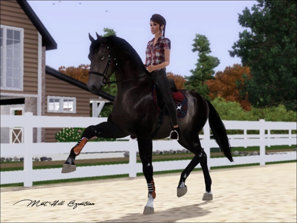 ✿ Most Hill Equestrian Screen25