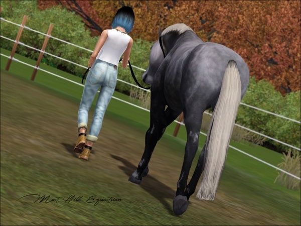 ✿ Most Hill Equestrian - Page 2 Screen26