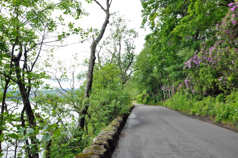 Ecosse: Speyside, Isle of Skye, Edimbourg Dsc_0016