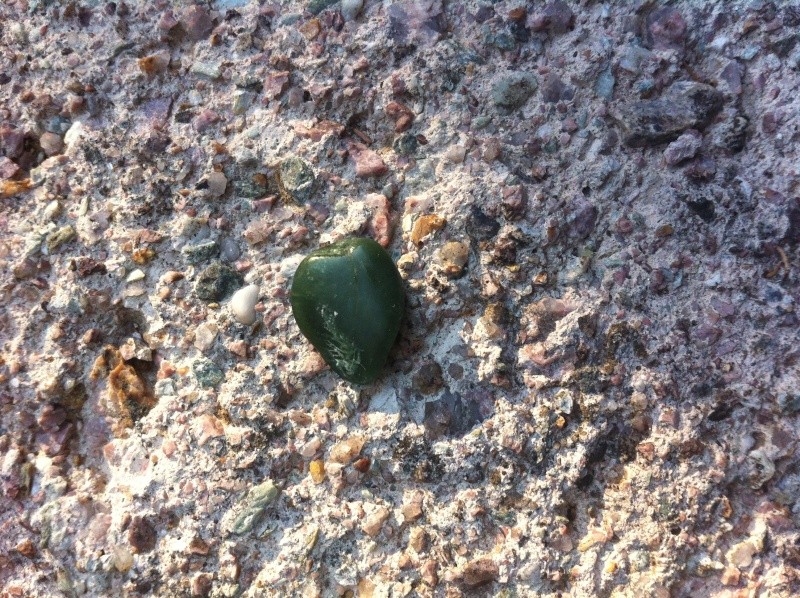 Des pierres trouvées sur la plage Img_4814