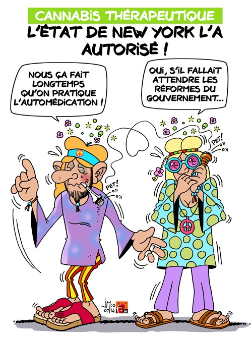 elle est bonne ! (vos blagues du jour ici) - Page 9 Cannab10