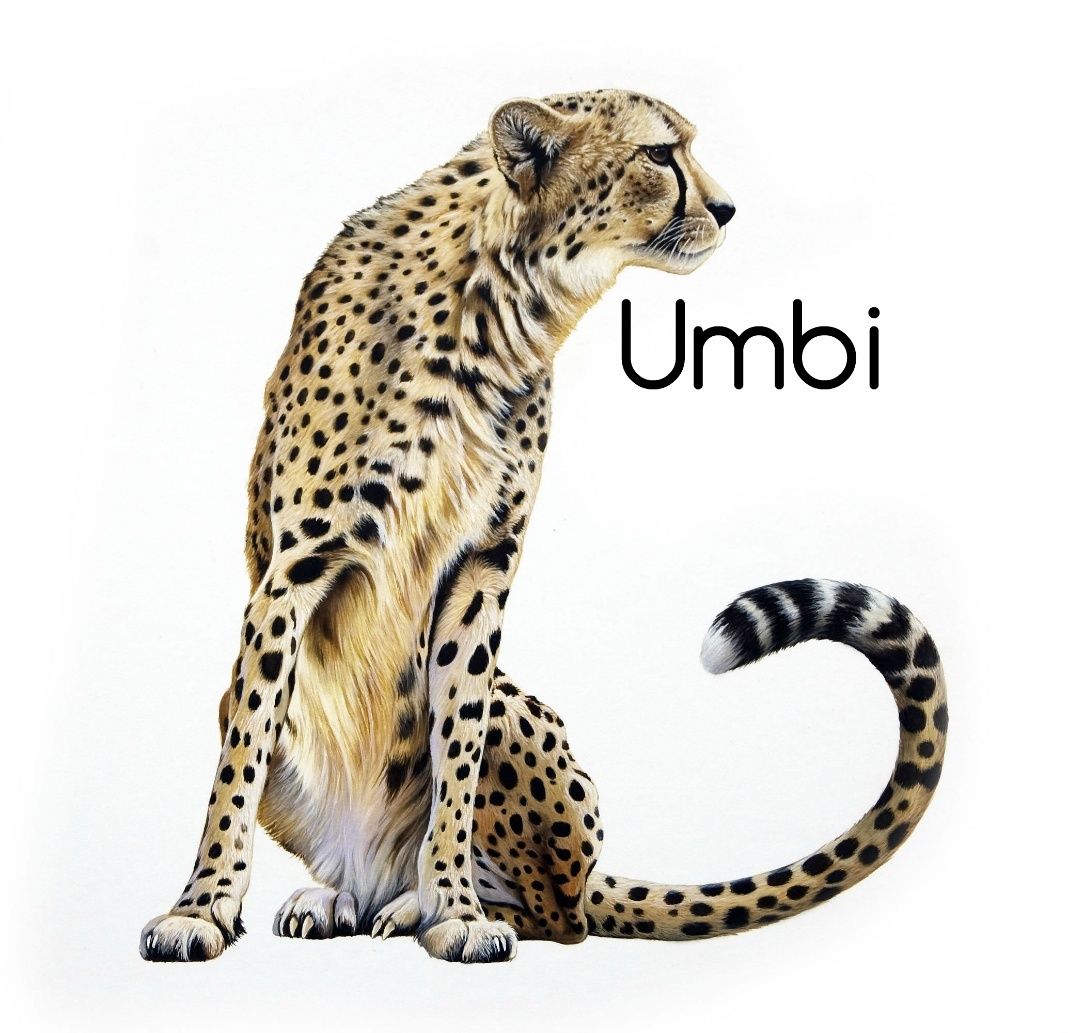 The Book Of Creatures  Umbi11