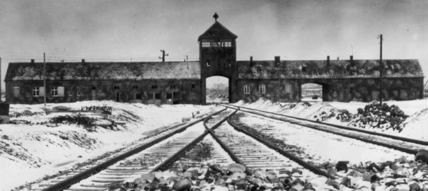 "Holocauste" : déroute de la version officielle dans le monde. Auschw10