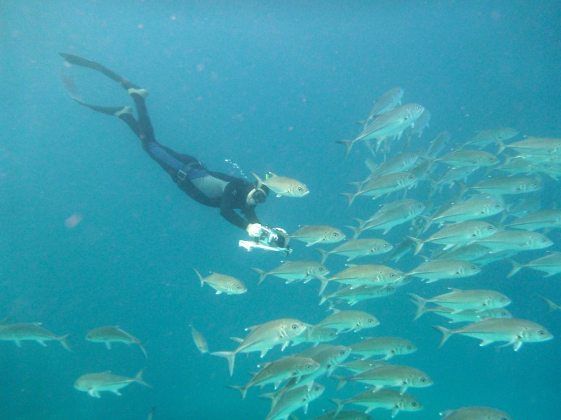 Snorkeling aux Maldives Belles10