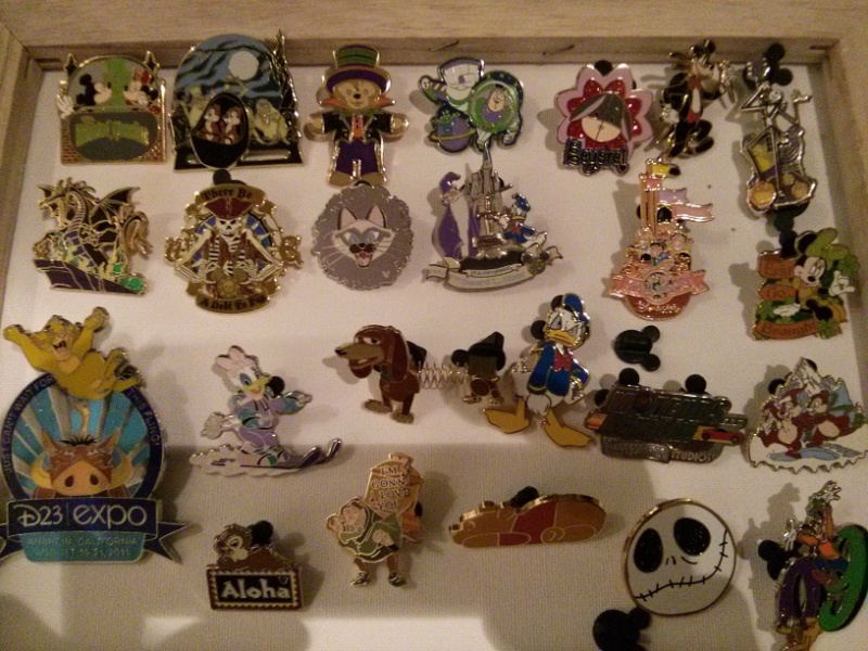 Le Pin Trading à Disneyland Paris - Page 38 Img_2041