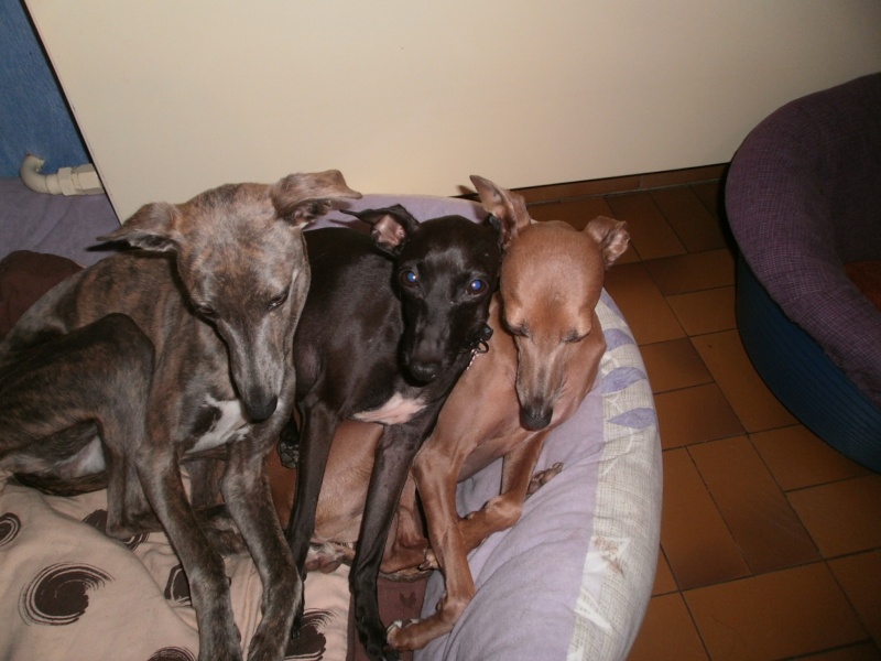 mes petites racailles - Page 2 Pa090010