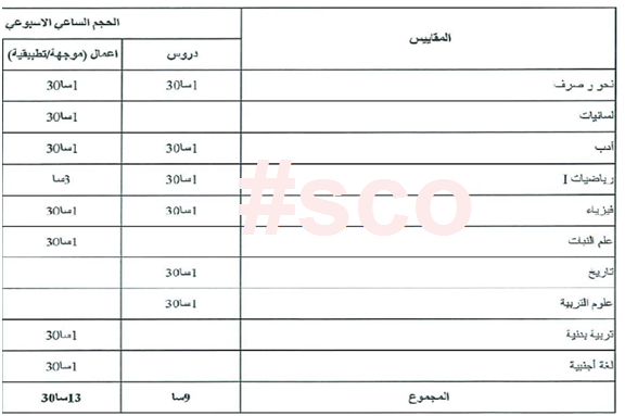 أستاذ المدرسة الابتدائية لغة عربية  4413