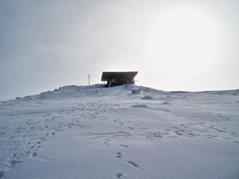 Senderismo invernal: sábado 20 de diciembre 2014 - Pico del Lobo desde el Puerto de la Quesera 100_9210
