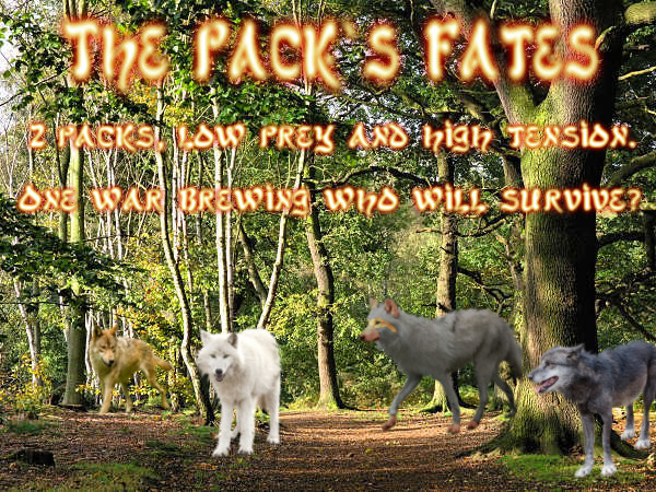 The Pack's Fates *Wolf RP* 35+ strong ! Lol11