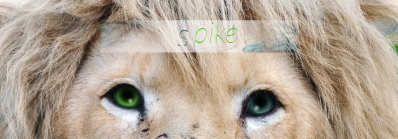 Spike, Lithium`s companion Spike10