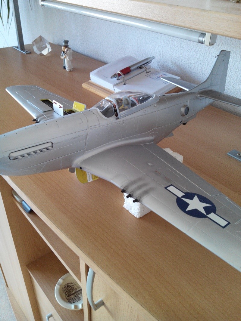 P51D.mustang.1/24.kit heller. - Page 15 Img_2249