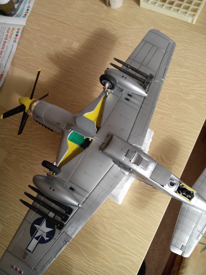P51D.mustang.1/24.kit heller. - Page 20 Img_2545