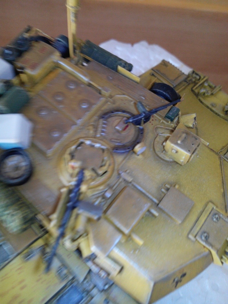 char lourd us.abrams M1 mine roller.1/72 trumpeter. - Page 5 Img_2955