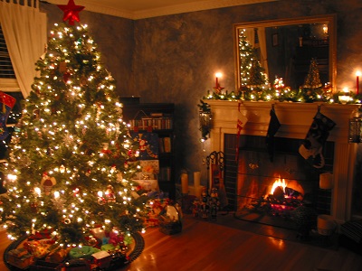Beautiful Christmas trees Tree210