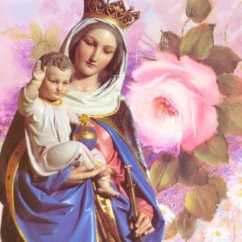 Message de Jésus à Christina Gallagher (Irlande), le 21 Avril 2014 et ma loi sera méprisée et mon Ég Marie_11