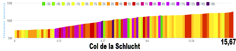 2014 - Tour de France 2014 - 9a tappa - Gérardmer-Mulhouse - 170,0 km (13 luglio 2014) Col_de11