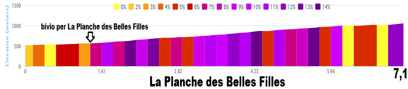 2014 - Tour de France 2014 - 10a tappa - Mulhouse-La Planche des Belles Filles - 161,5 km (14 luglio 2014) - Pagina 5 La_pla10
