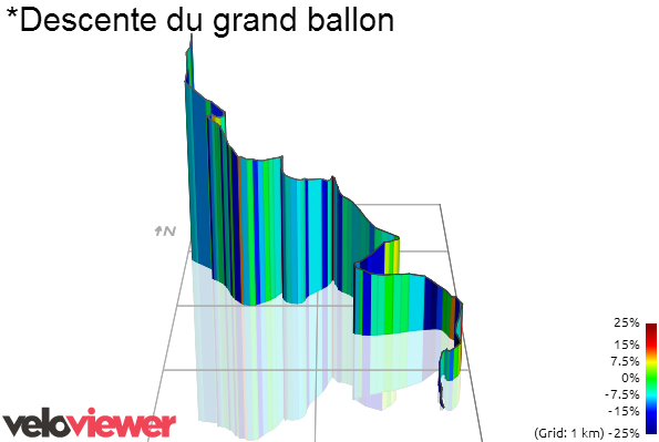 Tour de France 2014 - 9a tappa - Gérardmer-Mulhouse - 170,0 km (13 luglio 2014) S5444010