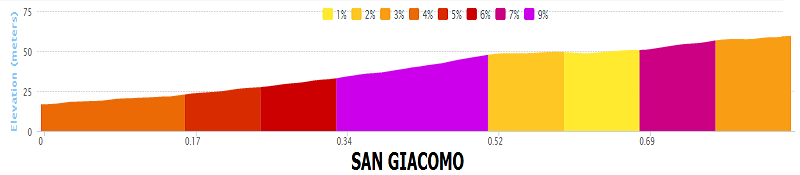 italia - Giro d'Italia 2014 - 21a tappa - Gemona del Friuli-Trieste - 172,0 km (01 giugno 2014) San_gi10