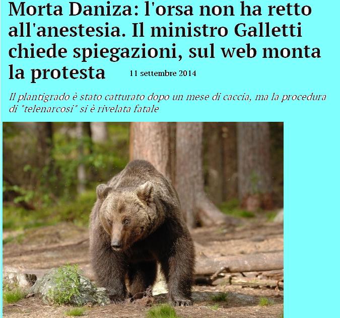 Le musa mancanti : Nera , rosa … trasparente : Cronache multicolori > - Pagina 31 Orsa10