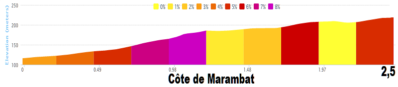 Tour de France 2014 - 19a tappa - Maubourguet Pays du Val d'Adour-Bergerac - 208,5 km (25 luglio 2014) 05_cat11