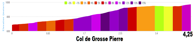 Tour de France 2014 - 8a tappa - Tomblaine-Gérardmer La Mauselaine - 161,0 km (12 luglio 2014) Col_de11