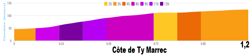 Grand Prix Ouest-France de Plouay 2014 (31 agosto 2014) Cyte_d11