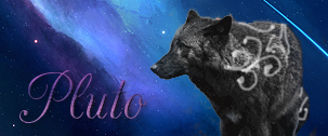 Realistic Wolf Pics Pluto_10
