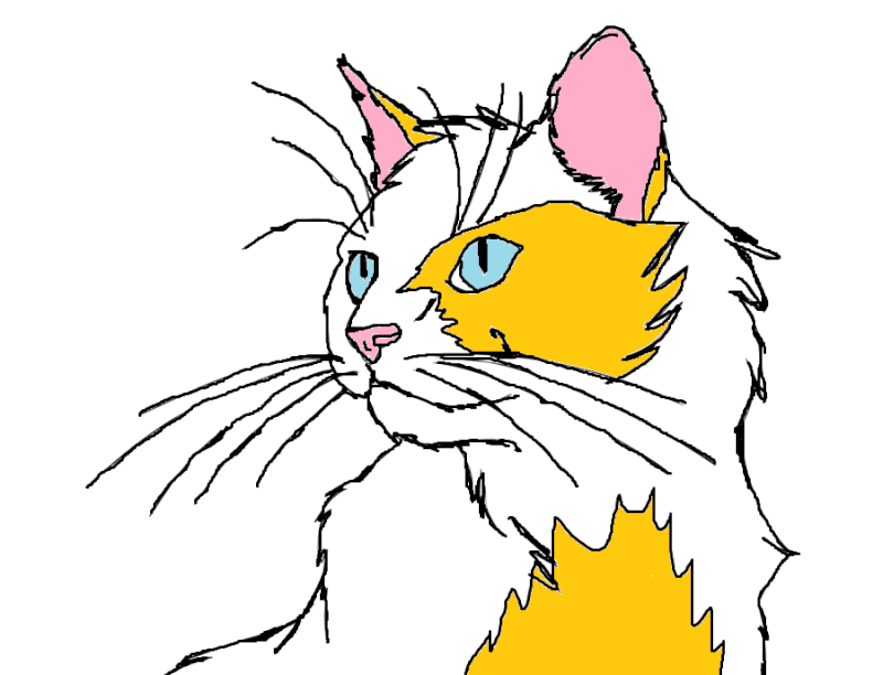 WildClaw's Little Drawing(s) Cat_li10