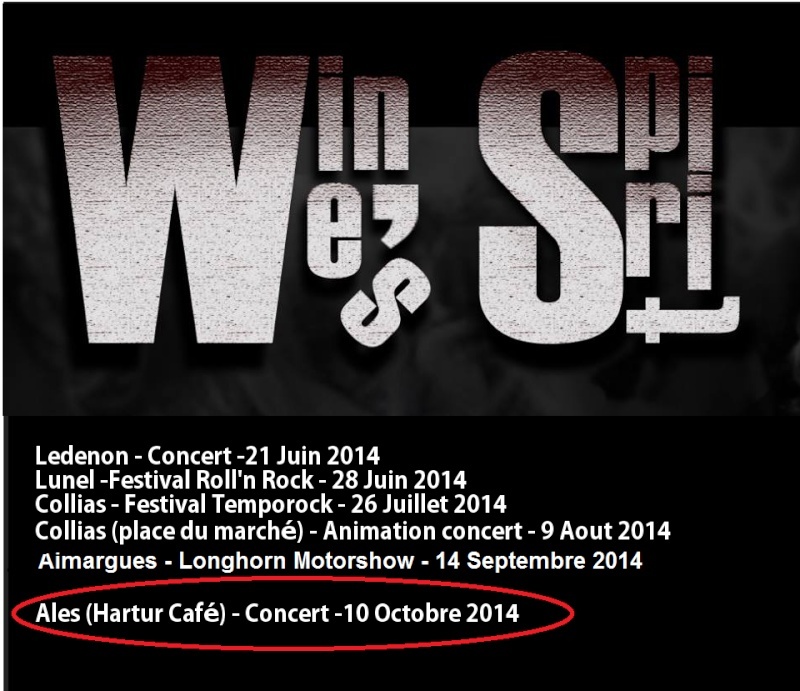 WINE'S SPIRIT in live Le 10  oCtobre 2014 à Ales 10-oct10