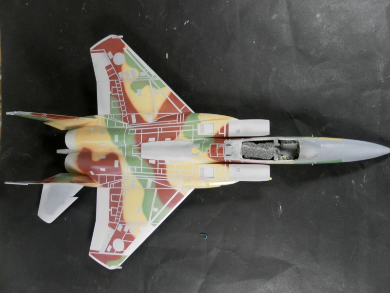 F 15 J agressor  hasegawa 1/48   510
