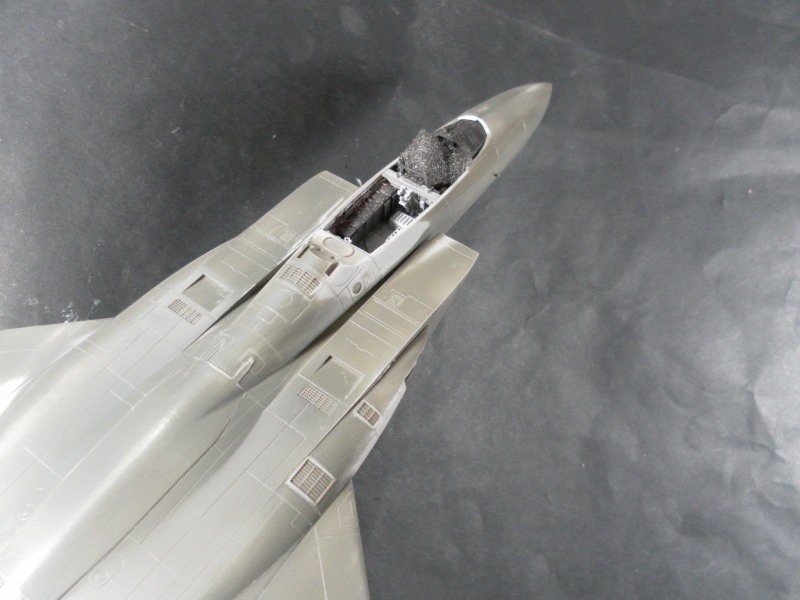 F 15 J agressor  hasegawa 1/48   Sam_1016