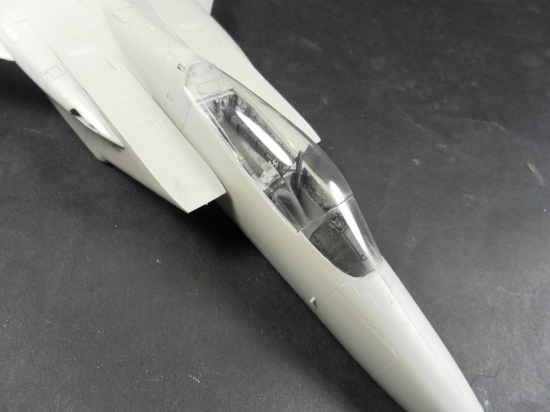 F 15 J agressor  hasegawa 1/48   V510