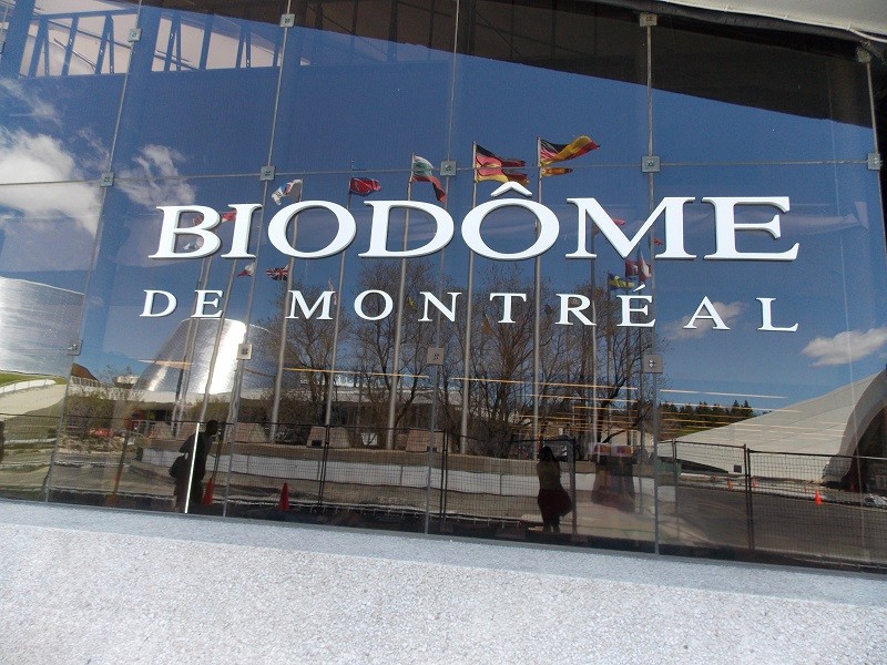 Biodôme de Montréal : les z'oiseaux  Dscn1612