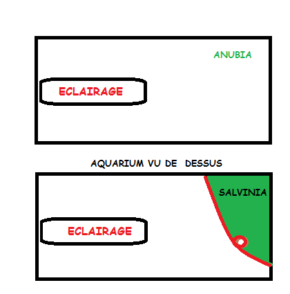 Délimiter les  espaces au niveau de la surface Sans_t10