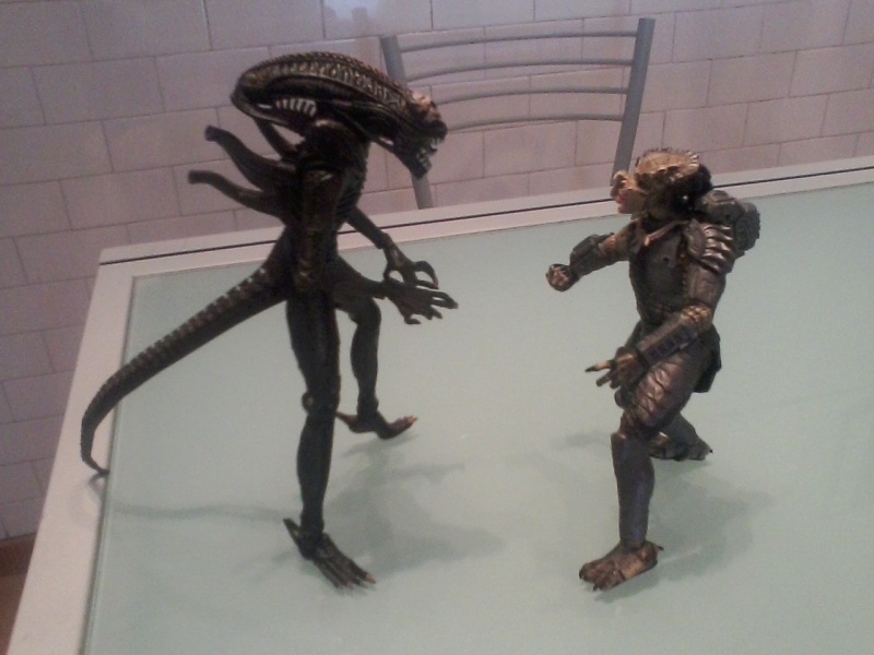 Action figure Alien vs Predator Foto-010