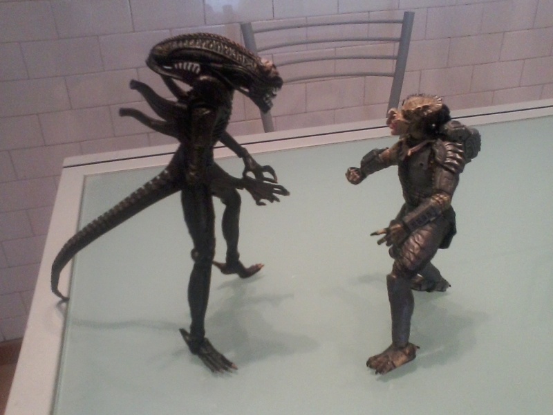 Action figure Alien vs Predator Foto-078