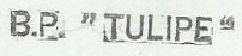 * TULIPE (1954/1984) * 71605_10
